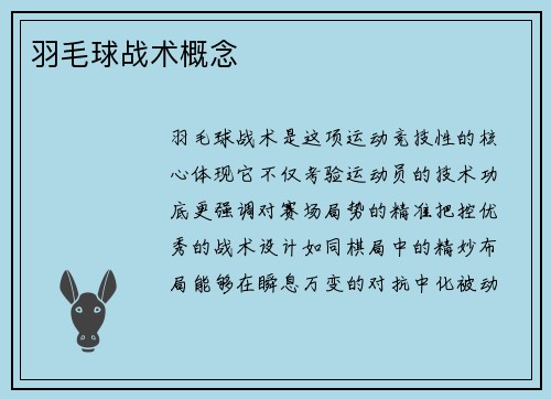 羽毛球战术概念